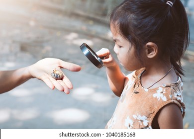 Cute Asian Child Girl Using Magnifying Glass Watching And Learning On  Rhinoceros Beetle Larvae On Her Parent Hand