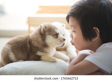 犬 子供 日本人 の画像 写真素材 ベクター画像 Shutterstock