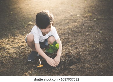 Cute Asian child planting young tree on the black soil Stock Photo