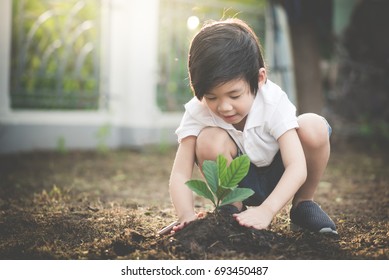 Cute Asian child planting young tree on the black soil