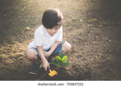 Cute Asian Child Planting Young Tree On The Black Soil