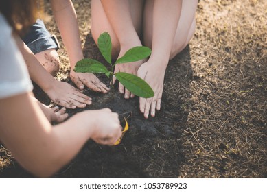 Cute Asian children and mother planting young tree on the black soil Stock Photo