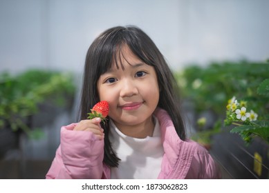 Cute Asian girl holding strawberry fruits at greenhouse plantation in Japan - Powered by Shutterstock