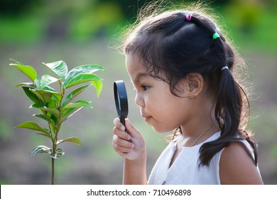 Cute Asian Little Child Girl Looking Through A Magnifying Glass On Young Tree In The Park