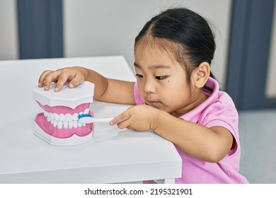 Cute Asian Little Girl Learn How To Brush Teeth Properly Using Jaw Anatomy Model And Toothbrush. Children's Dental Care