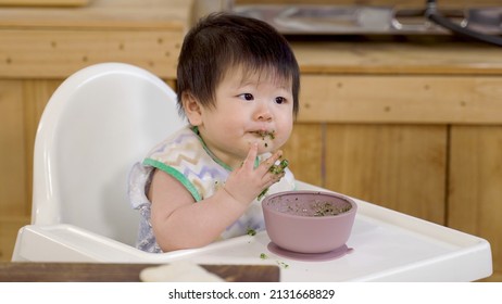 Cute Asian Toddler Wearing A Bib Is Looking Curiously At The Messy Table On The Baby Chair While Playing With The Bowl Of Vegetable Porridge.