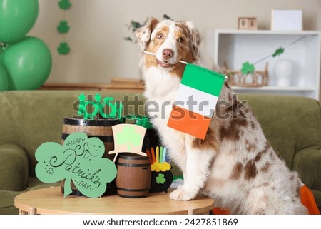 Cute Australian Shepherd dog with Irish flag and barrels on table at home. St. Patrick's Day celebration