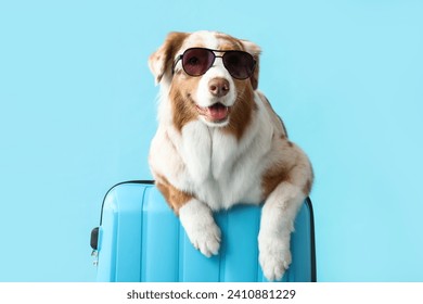 Cute Australian Shepherd dog in sunglasses with suitcase on blue background. Travel concept - Powered by Shutterstock