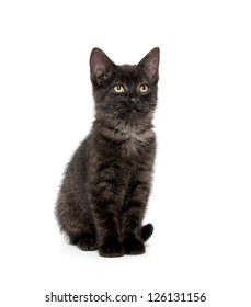 Cute Baby Black Cat Playing On Stock Photo 126131156 | Shutterstock