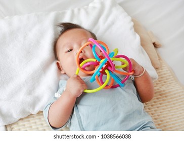 baby biting toys