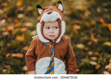 2,043 Dressed fox Images, Stock Photos & Vectors | Shutterstock