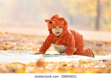 baby boy fox costume