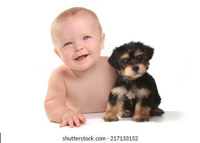 Cute Baby Boy With His Pet Teacup Yorkie Puppy