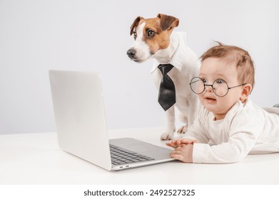 Cute baby boy and Jack Russell terrier dog working on a laptop.  - Powered by Shutterstock