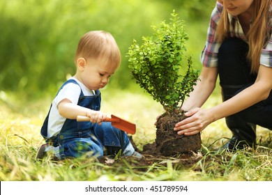 Cute Baby Boy Planting Tree With Parent In Garden