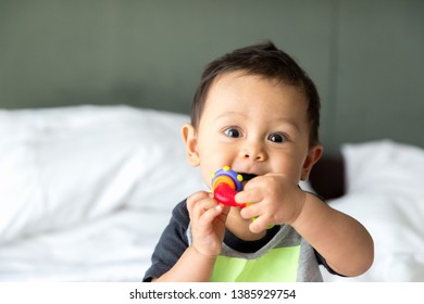 Cute Baby Boy Sitting And Playing With Toys. Adorable Nine Month Old Child Chewing A Toy. Baby Teething, Mixed Race Romanian Thai.