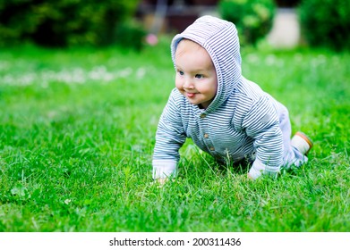 44,353 Crawling grass Images, Stock Photos & Vectors | Shutterstock