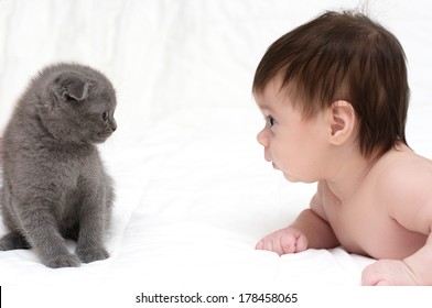 Cute Baby Girl With Cat Pet