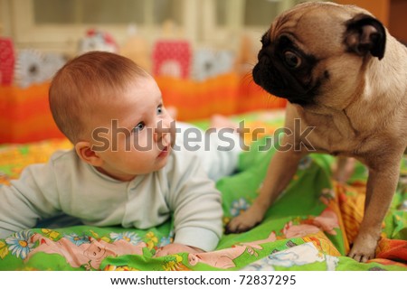 Cute baby girl looking at pug dog. Closeup, shallow DOF.