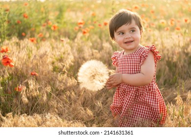 Cute Baby Girl In Red Dress Holding Large Dandelion On Field Of Poppies At Summer Sunset