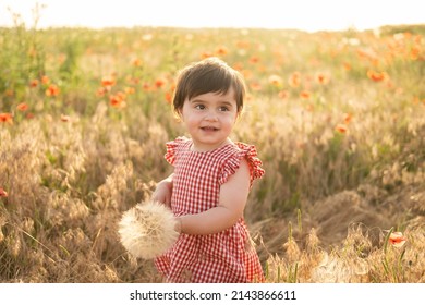 Cute Baby Girl In Red Dress Holding Large Dandelion On Field Of Poppies At Summer Sunset