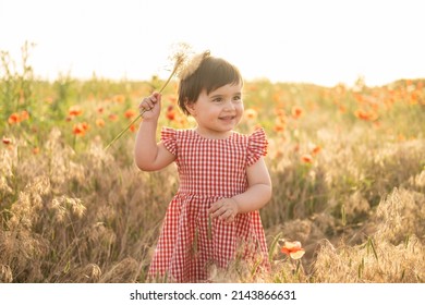 Cute Baby Girl In Red Dress Holding Large Dandelion On Field Of Poppies At Summer Sunset