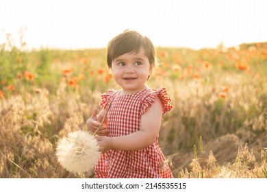 Cute Baby Girl In Red Dress Holding Large Dandelion On Field Of Poppies At Summer Sunset