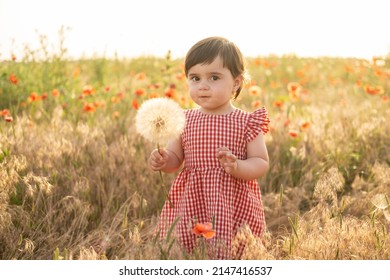 Cute Baby Girl In Red Dress Holding Large Dandelion On Field Of Poppies At Summer Sunset