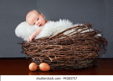 baby in nest