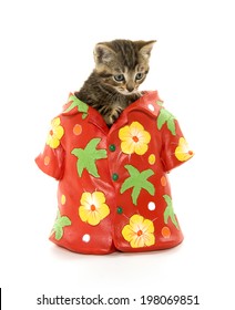 cat hawaiian shirt