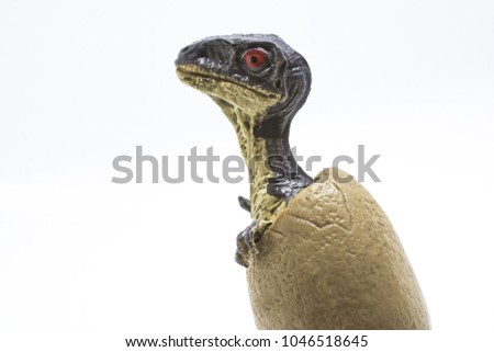Cute baby velociraptor puppy comes out of the egg on white background