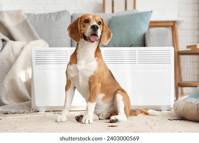 Cute Beagle dog near radiator at home