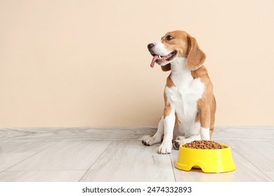 Cute Beagle dog sitting with bowl of dry food near beige wall at home