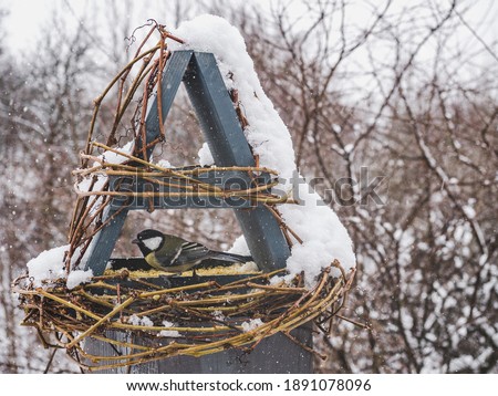 Cute, beautiful birds in a wicker feeder. Close-up, outdoors. Day light. Animal care concept