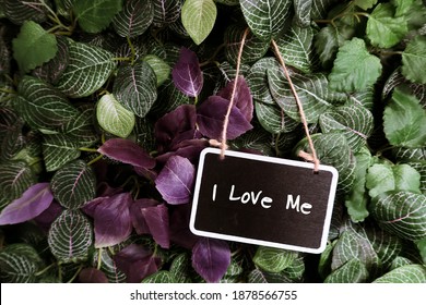 Cute black chalkboard haging in the green garden with text handwritten I LOVE ME, concept of self love, self esteem, self confidence - Shutterstock ID 1878566755