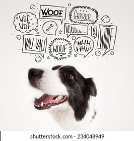 Cute black and white border collie with barking speech bubbles above her head - Shutterstock ID 234048949