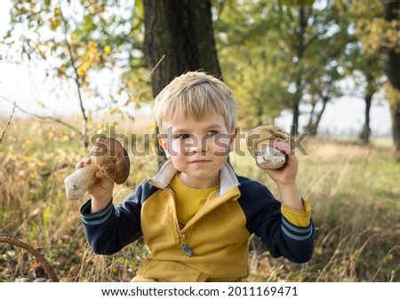 cute blond boy 4-5 years old holds two large porcini mushrooms near his face. picking autumn mushrooms. Hunting for forest mushrooms.