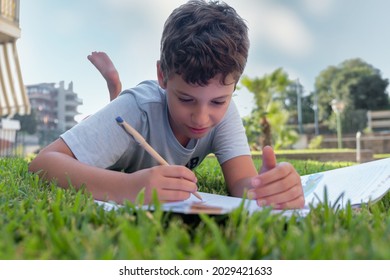 Cute Boy Doing Homework Laying On Grass. Child Reading A Book In The Summer Park. Concept Of Kids Learning, Study, Outdoors In The Park.