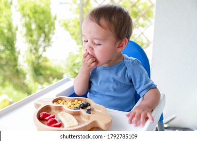 Cute boy eating fruit by himself on high chair baby led weaning or blw. Mixed race Asian-German infant self-feeding solid food fine motor development. - Powered by Shutterstock