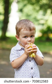 Cute Boy Eating Grapes Outdoors.