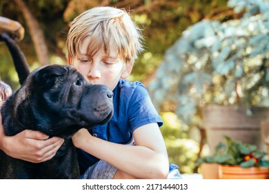 Cute Boy Kiss And Talk, Calm Down A Dog Shar Pei At Summer Weather Outdoor.. Child Playing With Pet Love Concept. Sunny Summer Day.