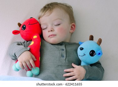 Cute Boy Likes Sleeping With His Stuffed Animals. Toddler Holds In Arms His Favourite Stuffed Toys. Child Concept.