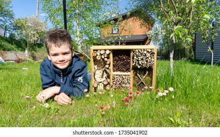 Cute Boy Made An Insect Diy House Or A Dormitory For Bugs And Beetles To Protect The Environment In The Garden. Ideas Of Summer Activities For Kids. Activities For Children On Summer Vacation.