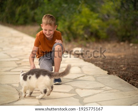 Cute boy playing with stray cat. Cyprian stray cat. Boy in the brown t-shirt and grey shorts