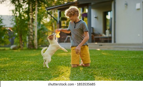 Cute Boy Plays with His Favourite Dog Friend while Having Picnic Outdoors on the Lawn. He Pets and Teases His Little Smooth Fox Terrier with His Favourite Toy. Idyllic Summer House.