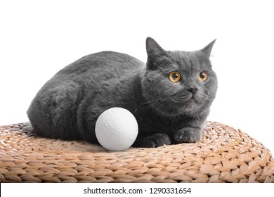 cat wicker ball