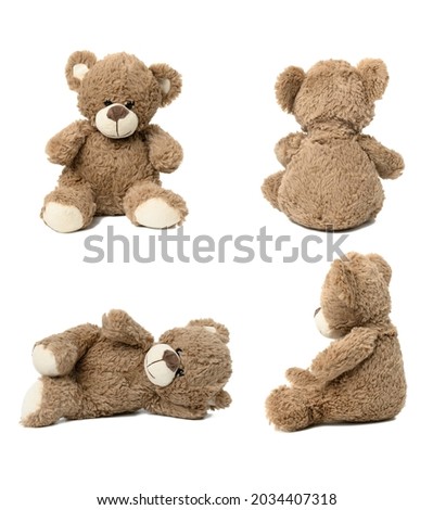 cute brown teddy bear against white isolated background in different poses. Set