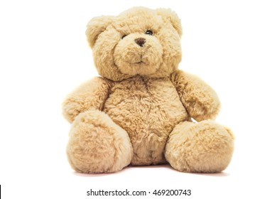 Cute Brown Teddy Bear Isolated On White Background. Toy Animal Doll Plush Stuffed Sitting In The Studio. Cut Out