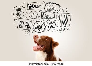 Cute brown and white border collie with barking speech bubbles above his head