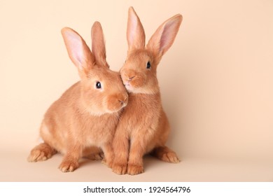 Cute bunnies on beige background, space for text. Easter symbol